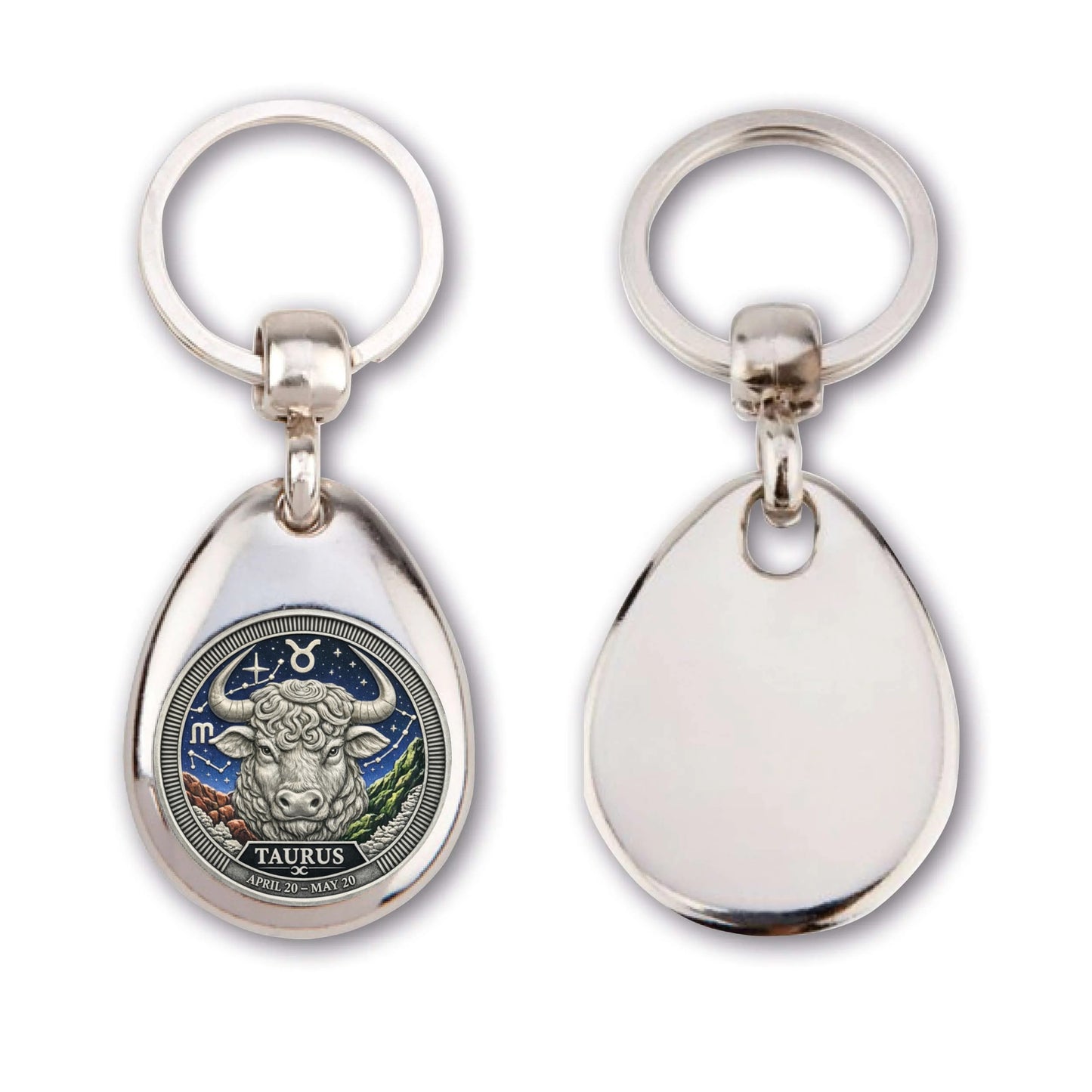 Signs of the Zodiac Key Ring